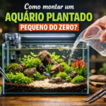 Como montar um aquário plantado pequeno do zero