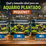 Qual o tamanho ideal para um aquário plantado pequeno?