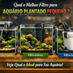 Qual o Melhor Filtro para Aquário Plantado Pequeno
