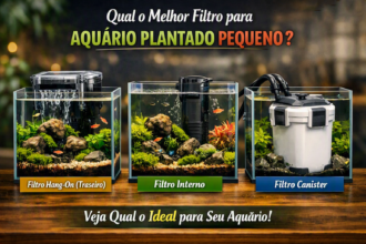 Qual o Melhor Filtro para Aquário Plantado Pequeno