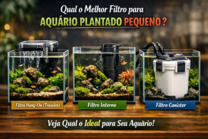 Qual o Melhor Filtro para Aquário Plantado Pequeno