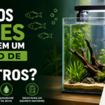 Quantos Peixes Colocar em um Aquário de 20 Litros
