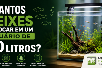 Quantos Peixes Colocar em um Aquário de 20 Litros