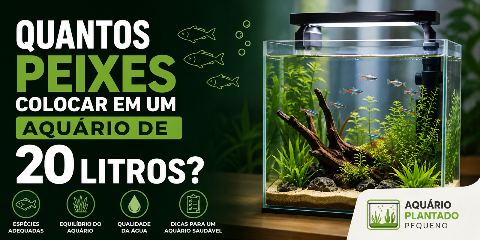 Quantos Peixes Colocar em um Aquário de 20 Litros