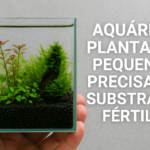 Aquário plantado pequeno precisa de substrato fértil?