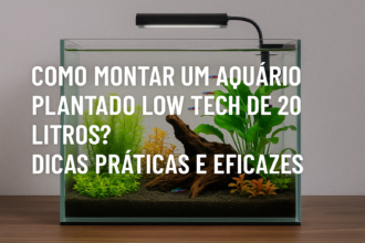 Como montar um aquário plantado low tech de 20 litros?
