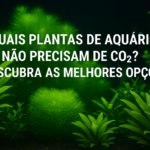 Quais plantas de aquário não precisam de CO₂?