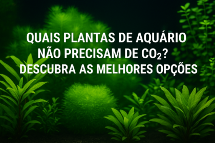 Quais plantas de aquário não precisam de CO₂?