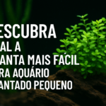 Qual a planta mais fácil para aquário plantado pequeno?