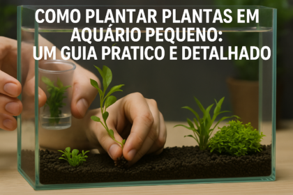 Como plantar plantas em aquário pequeno?