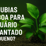 Anubias é boa para aquário plantado pequeno?