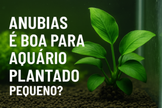 Anubias é boa para aquário plantado pequeno?