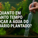 De quanto em quanto tempo trocar a água do aquário plantado?