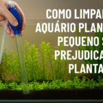 Como limpar um aquário plantado pequeno sem prejudicar as plantas?