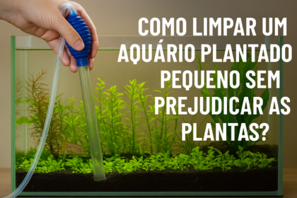 Como limpar um aquário plantado pequeno sem prejudicar as plantas?