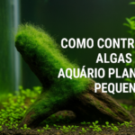 Como controlar algas em aquário plantado pequeno?